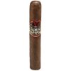 Buy Viva la Vida Robusto by AJ Fernandez