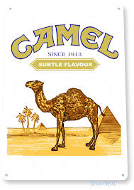camel cigarettes