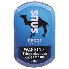 Camel Snus Large Frost