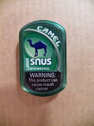 camel snus winterchill large